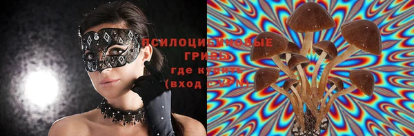 амф Абинск